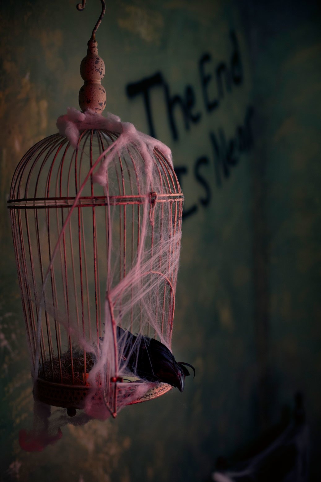 Insane Asylum Room - Abandoned Bird Cage