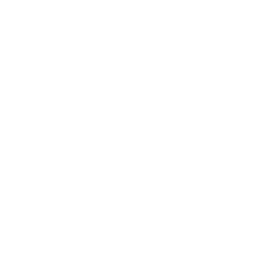 Disco Detectives