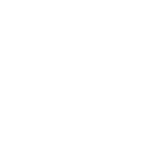 VR Escape Experience